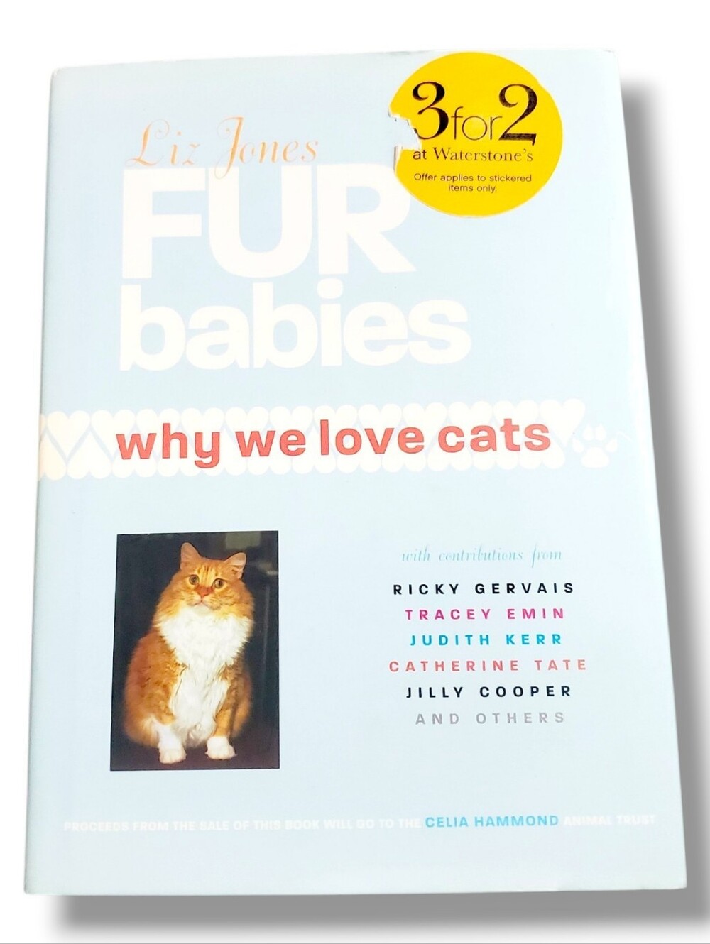 Fur Babies: Why We Love Cats by Liz Jones Book
